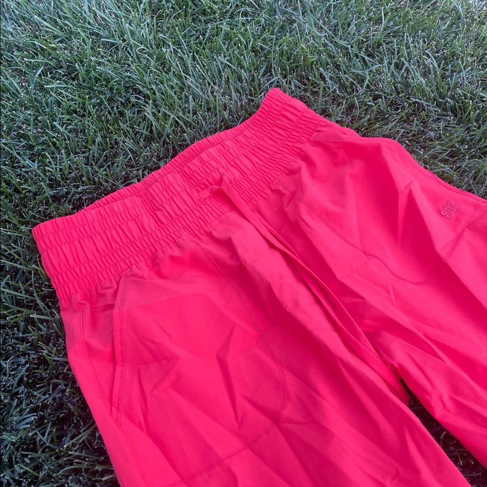 Albion Fit Destination Joggers